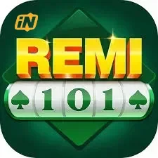 Logo remi101